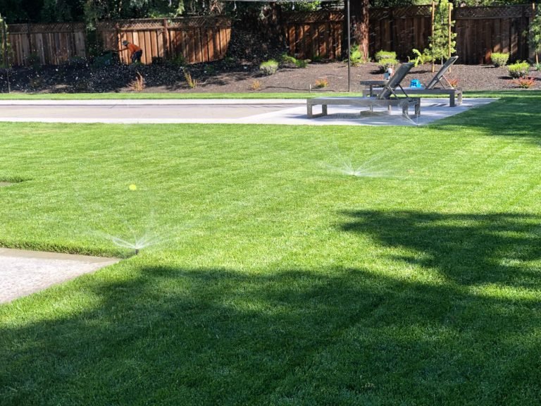 HC Gardening & Landscaping — project photo