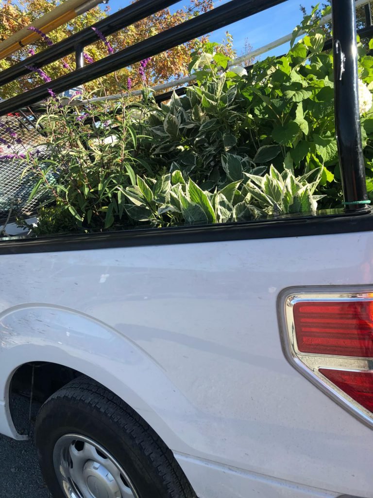 HC Gardening & Landscaping — project photo