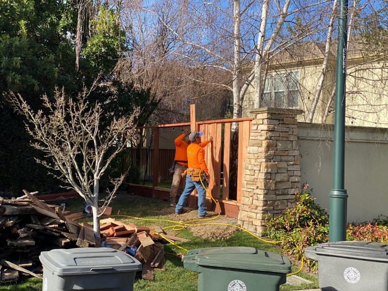 HC Gardening & Landscaping — project photo