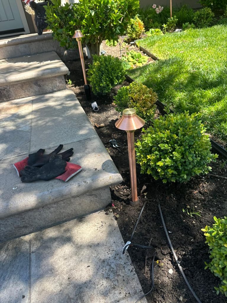 HC Gardening & Landscaping — project photo