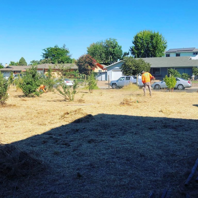 HC Gardening & Landscaping — project photo
