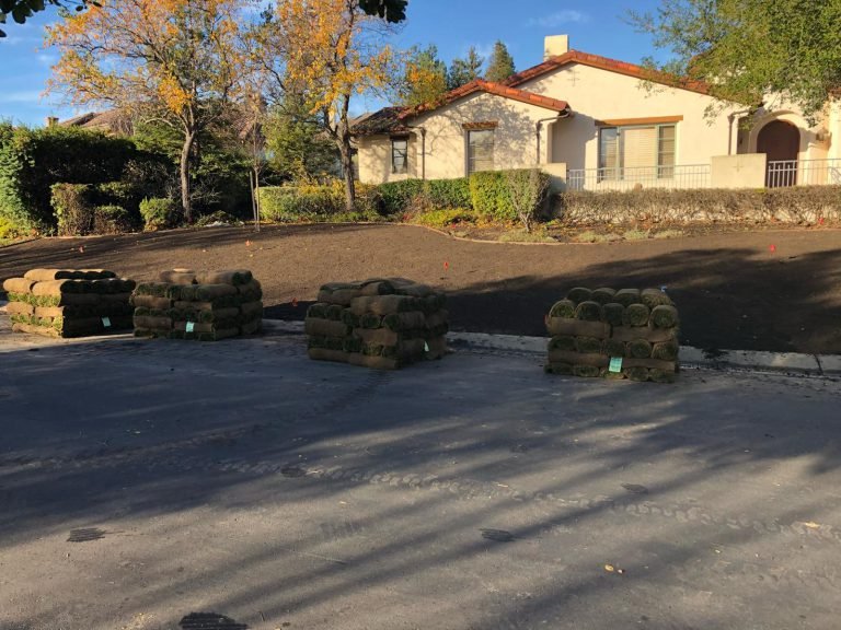HC Gardening & Landscaping — project photo