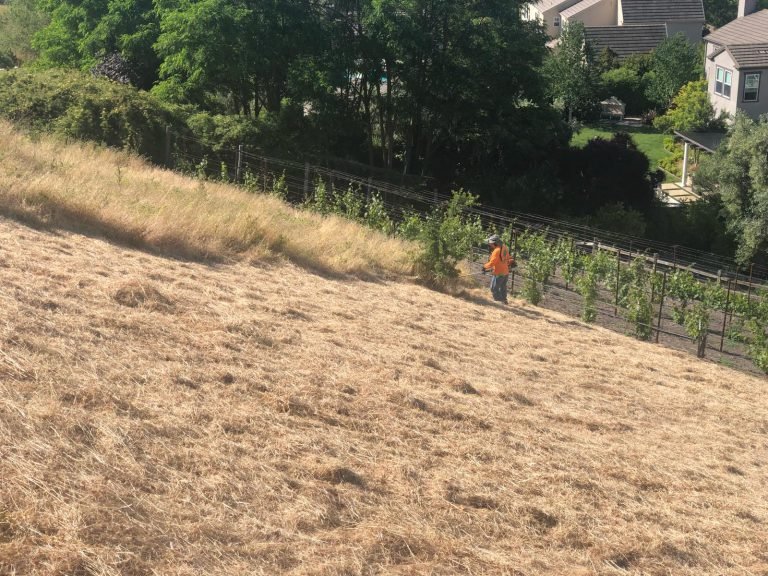 HC Gardening & Landscaping — project photo
