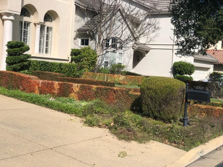 HC Gardening & Landscaping — project photo