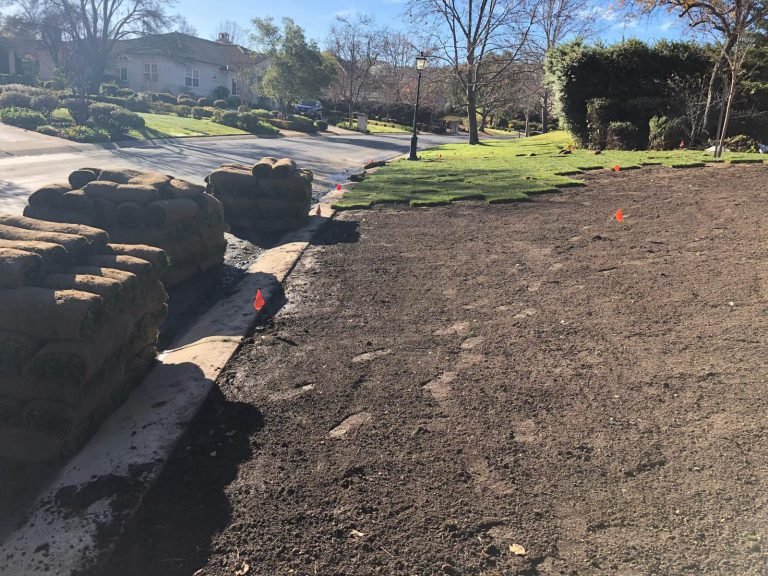 HC Gardening & Landscaping — project photo