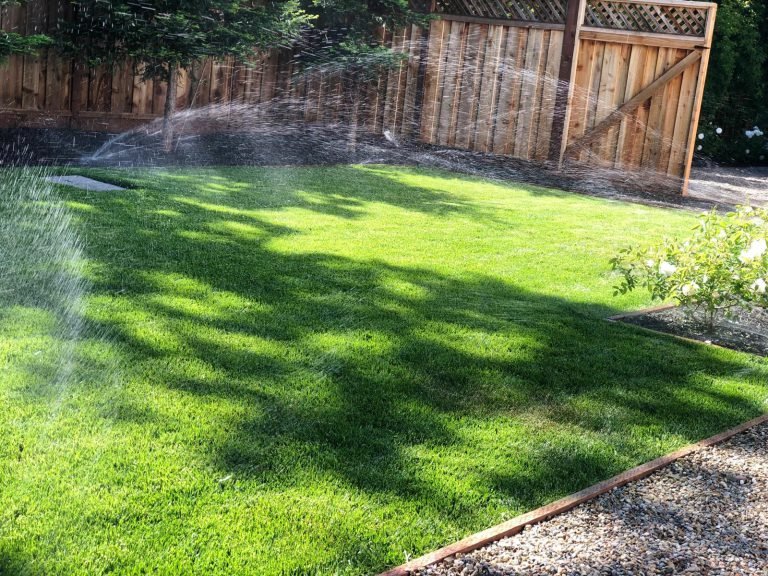 HC Gardening & Landscaping — project photo