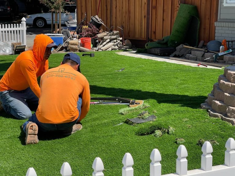 HC Gardening & Landscaping — project photo