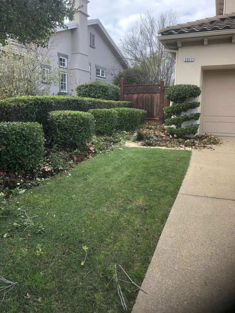 HC Gardening & Landscaping — project photo
