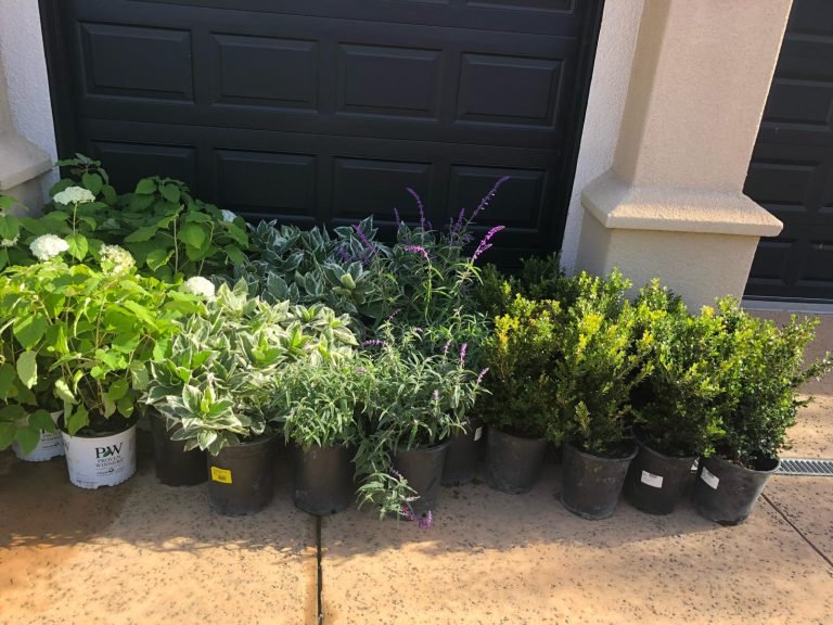 HC Gardening & Landscaping — project photo