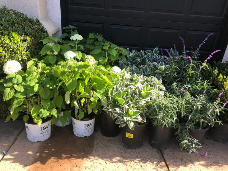 HC Gardening & Landscaping — project photo