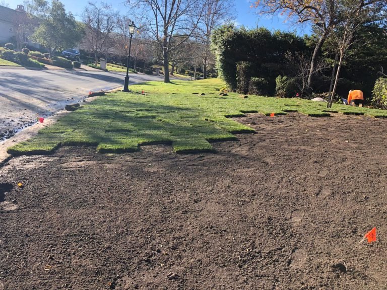 HC Gardening & Landscaping — project photo