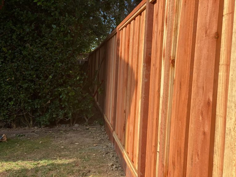 HC Gardening & Landscaping — project photo