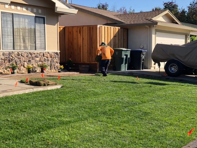 Landscaping project by HC Gardening & Landscaping in the East Bay Area