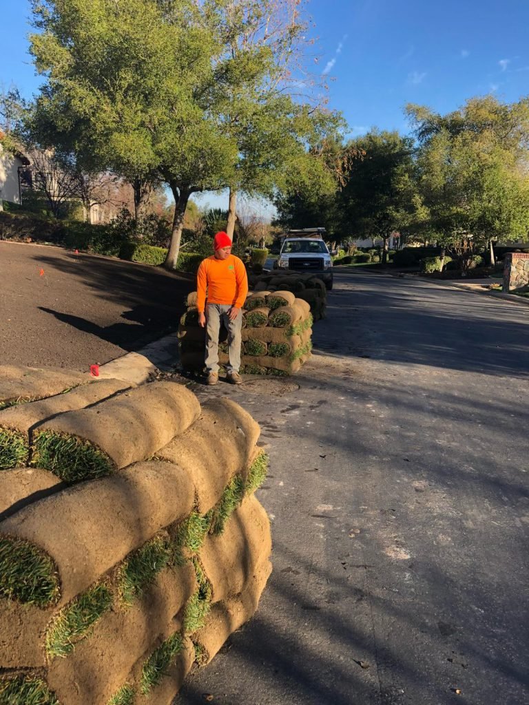 HC Gardening & Landscaping — project photo