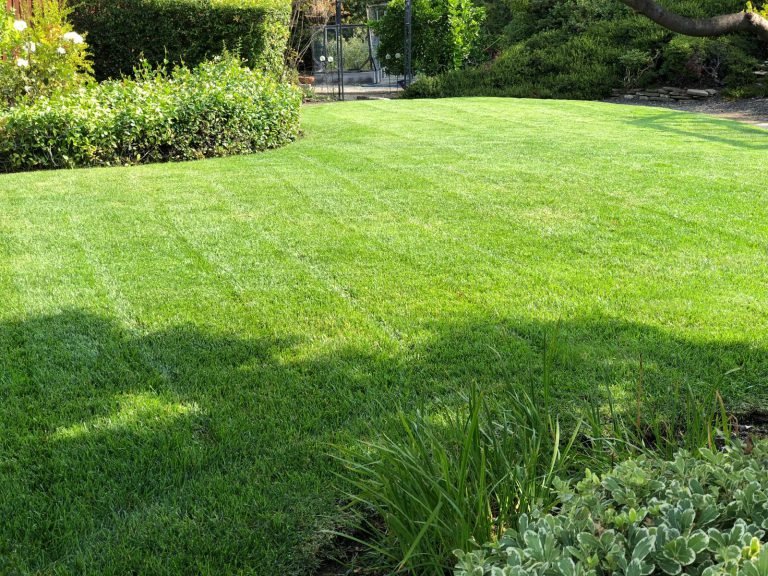 Landscaping project by HC Gardening & Landscaping in the East Bay Area