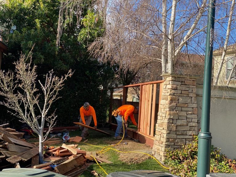 HC Gardening & Landscaping — project photo
