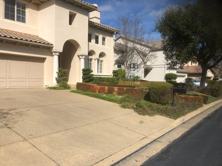 HC Gardening & Landscaping — project photo