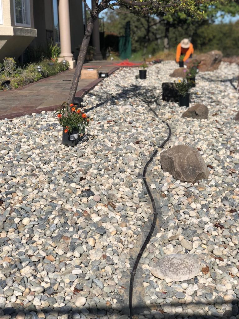 HC Gardening & Landscaping — project photo