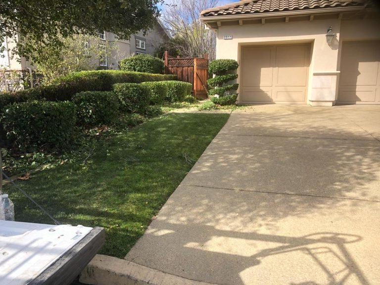 HC Gardening & Landscaping — project photo