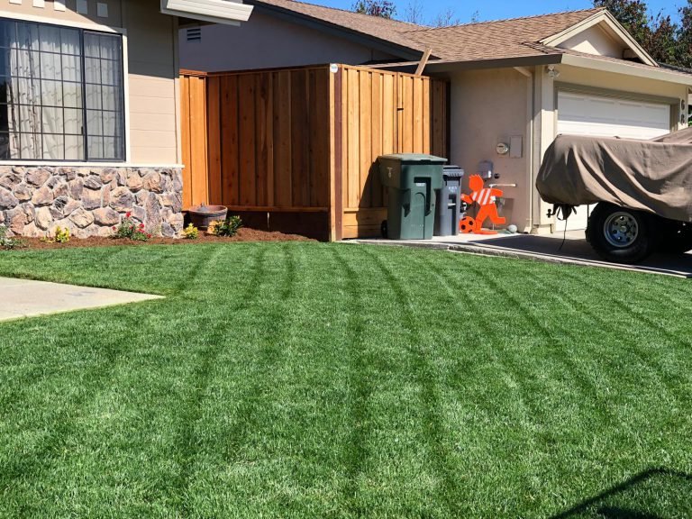 Landscaping project by HC Gardening & Landscaping in the East Bay Area