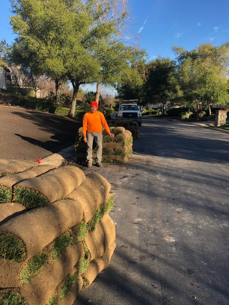Natural Sod by HC Gardening & Landscaping