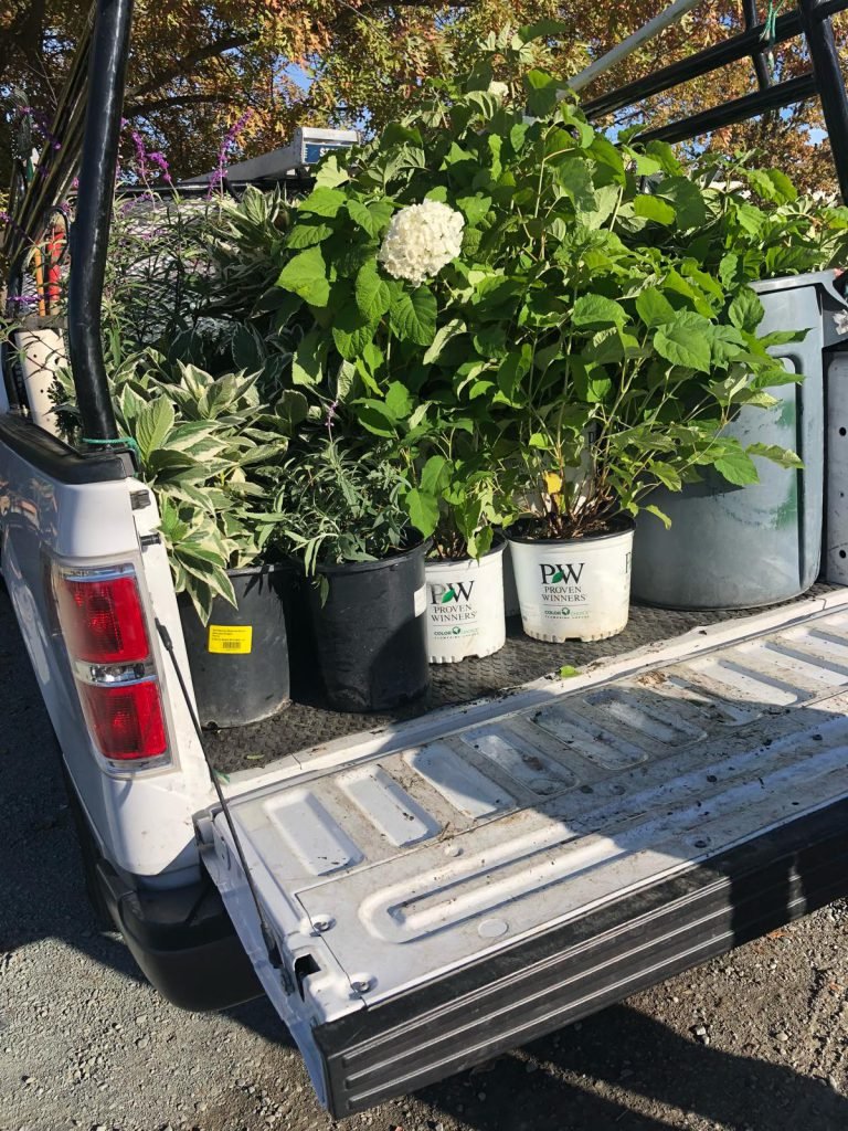 Plant Installation & Removal by HC Gardening & Landscaping