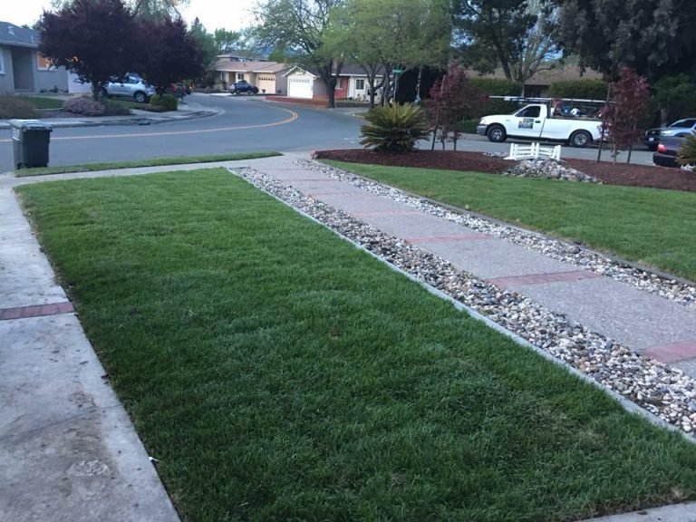 Landscaping project by HC Gardening & Landscaping in the East Bay Area
