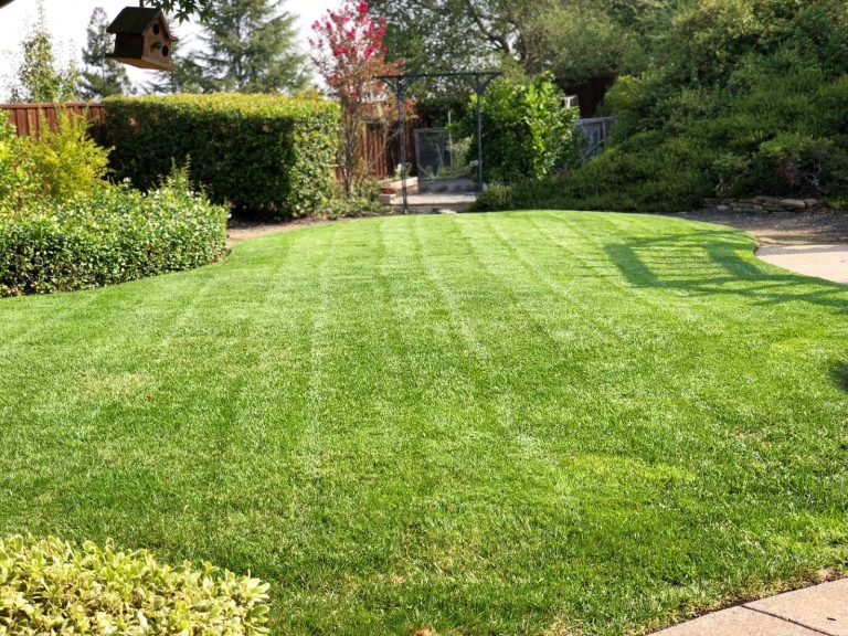 Landscaping project by HC Gardening & Landscaping in the East Bay Area