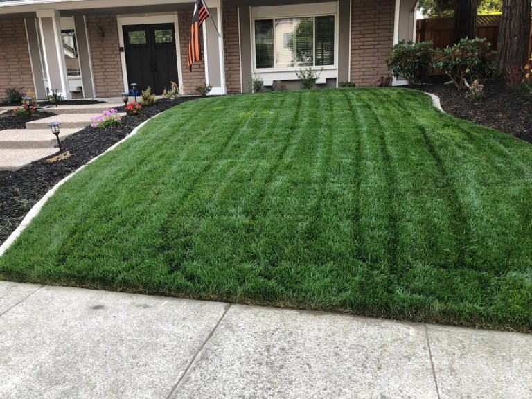 Landscaping project by HC Gardening & Landscaping in the East Bay Area