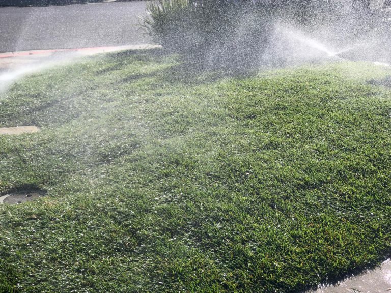 Landscaping project by HC Gardening & Landscaping in the East Bay Area