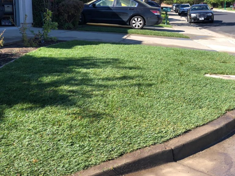 Landscaping project by HC Gardening & Landscaping in the East Bay Area