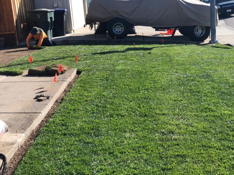 Landscaping project by HC Gardening & Landscaping in the East Bay Area