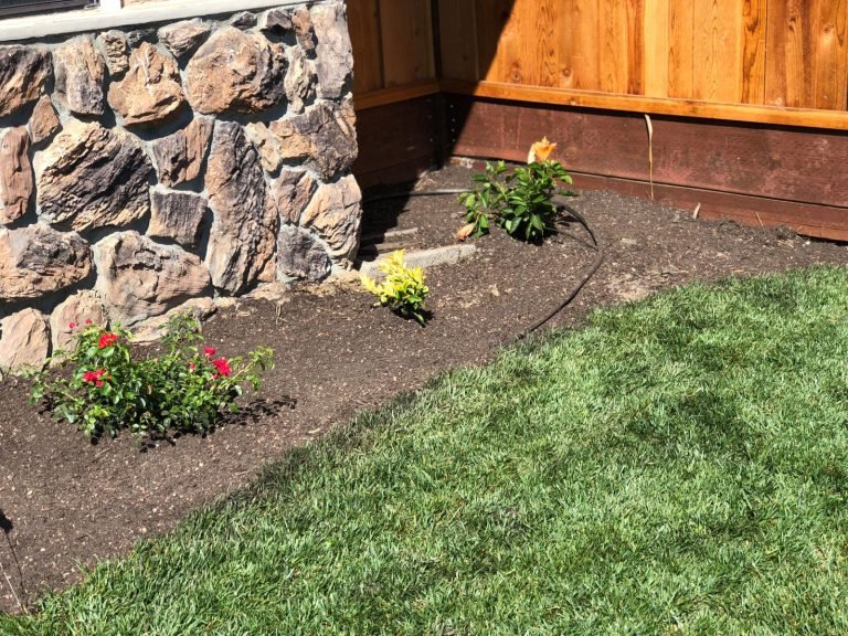 Landscaping project by HC Gardening & Landscaping in the East Bay Area
