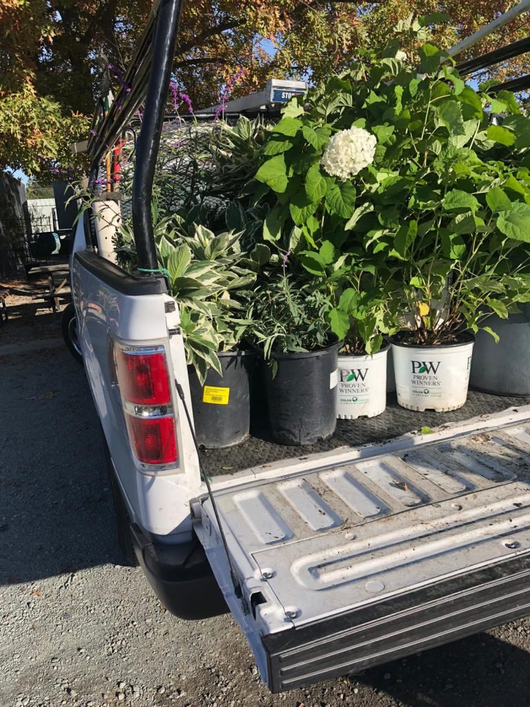 Landscaping project by HC Gardening & Landscaping in the East Bay Area