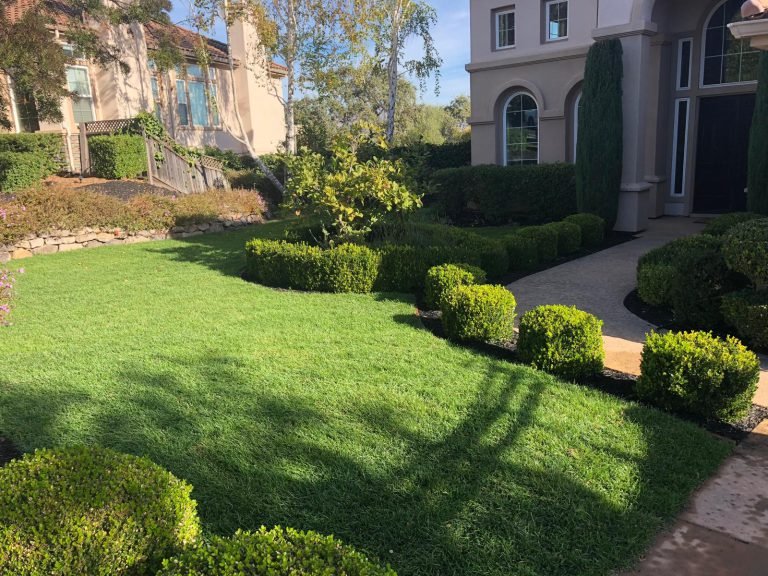 Landscaping project by HC Gardening & Landscaping in the East Bay Area