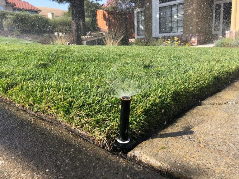 Landscaping project by HC Gardening & Landscaping in the East Bay Area