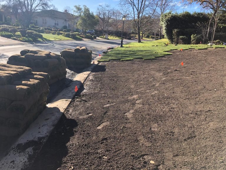 Landscaping project by HC Gardening & Landscaping in the East Bay Area