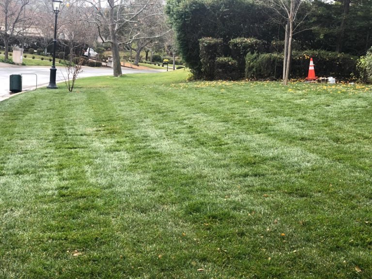Landscaping project by HC Gardening & Landscaping in the East Bay Area