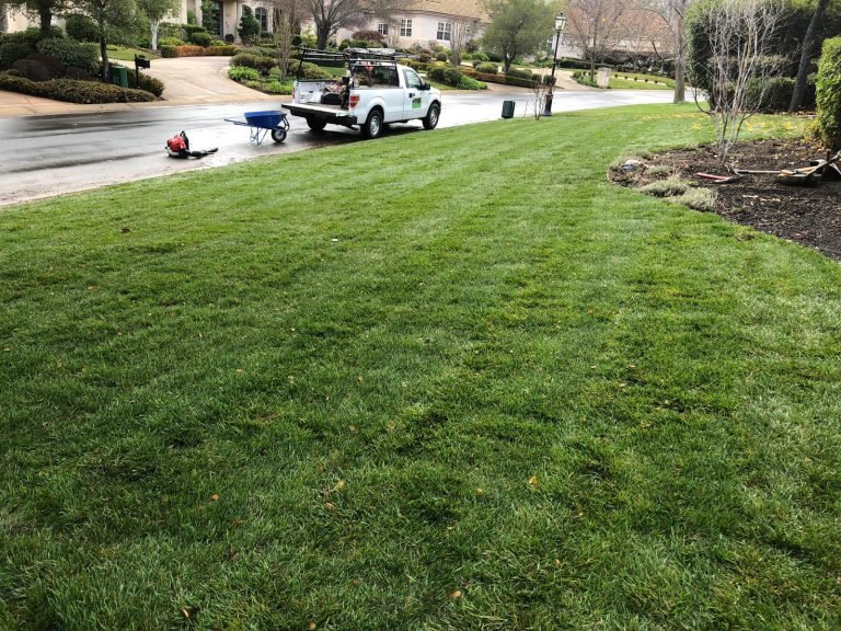 Landscaping project by HC Gardening & Landscaping in the East Bay Area