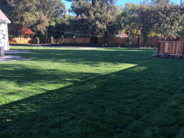 Landscaping project by HC Gardening & Landscaping in the East Bay Area