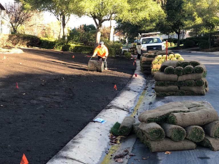 Landscaping project by HC Gardening & Landscaping in the East Bay Area