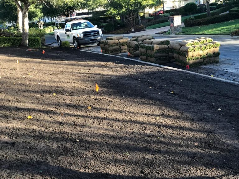 Landscaping project by HC Gardening & Landscaping in the East Bay Area