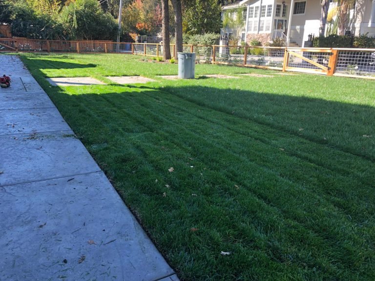 Landscaping project by HC Gardening & Landscaping in the East Bay Area