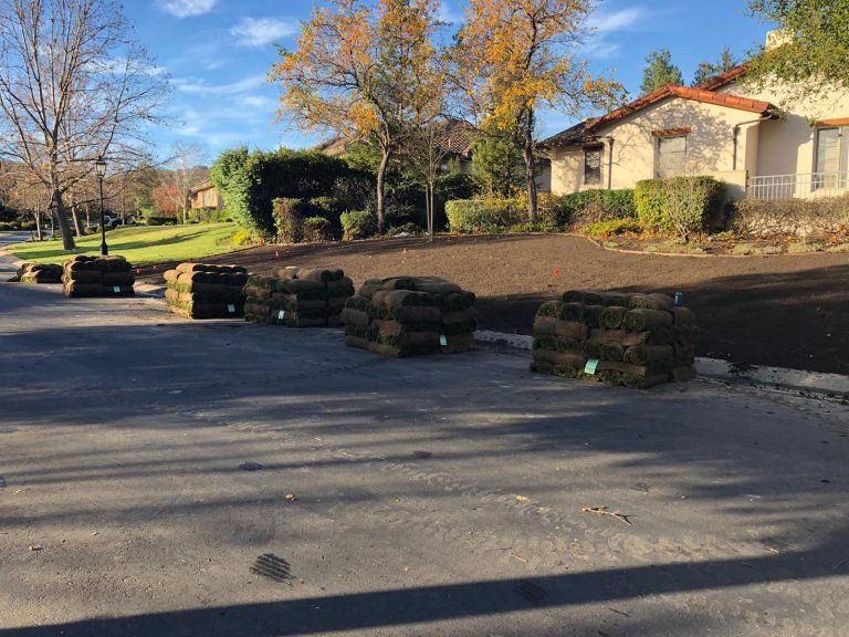 Landscaping project by HC Gardening & Landscaping in the East Bay Area