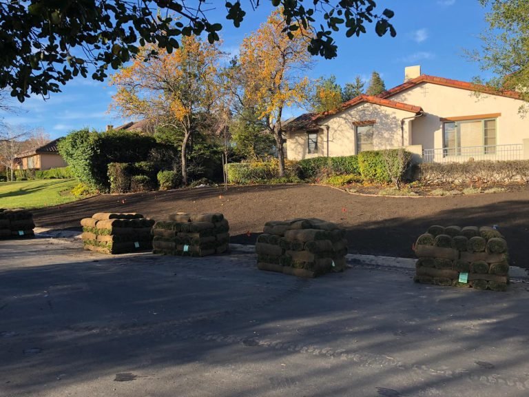 Landscaping project by HC Gardening & Landscaping in the East Bay Area