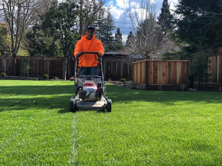 Landscaping project by HC Gardening & Landscaping in the East Bay Area