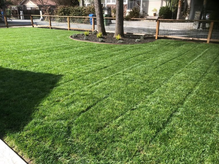 Landscaping project by HC Gardening & Landscaping in the East Bay Area