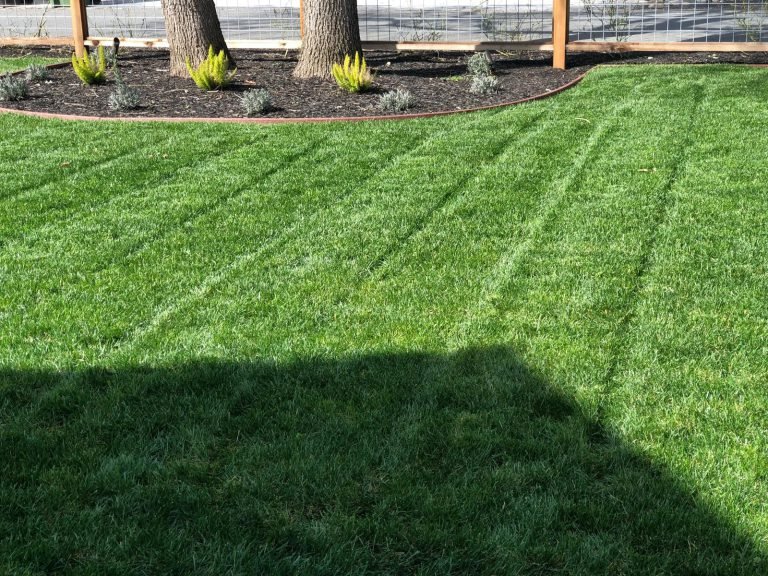Landscaping project by HC Gardening & Landscaping in the East Bay Area