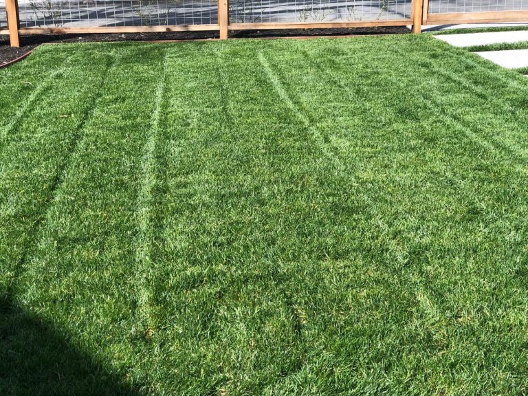 Landscaping project by HC Gardening & Landscaping in the East Bay Area
