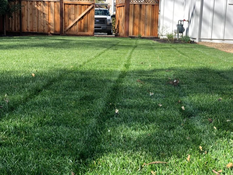 Landscaping project by HC Gardening & Landscaping in the East Bay Area